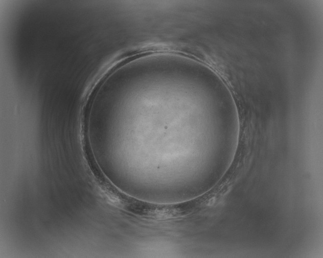 X0000074970103200609011226