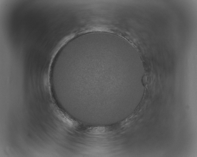 X0000074970104200609011226