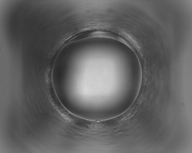 X0000074970105200609011226