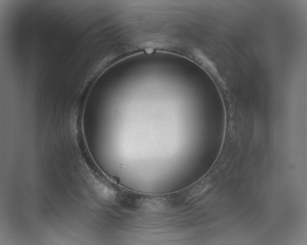 X0000074970106200609011226