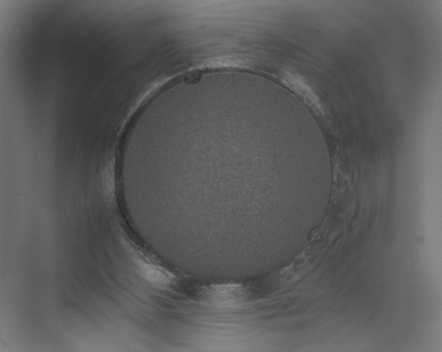 X0000074970108200609011226