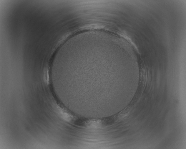 X0000074970110200609011226