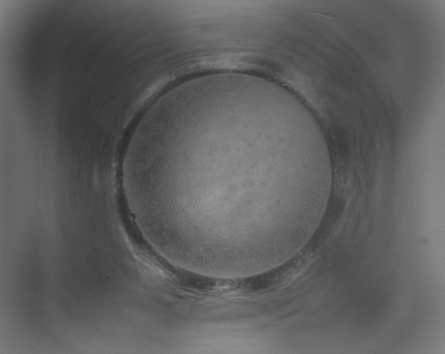 X0000074970111200609011226