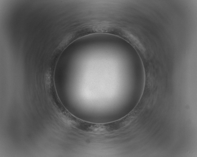 X0000074970113200609011226