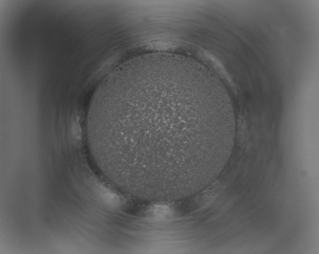 X0000074970114200609011226