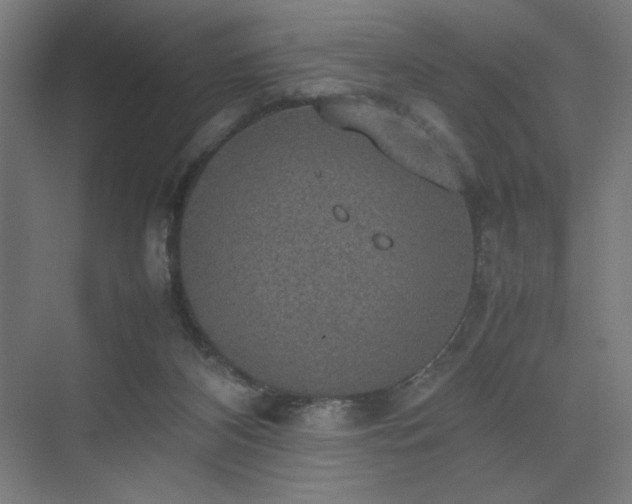 X0000074970116200609011226