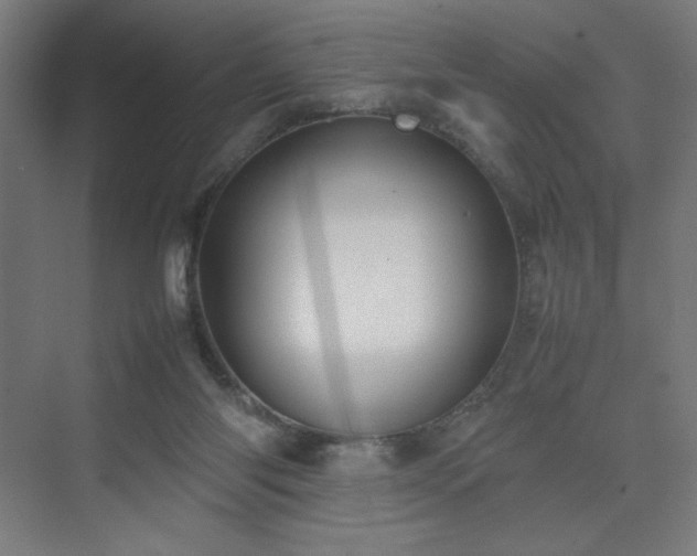 X0000074970118200609011226