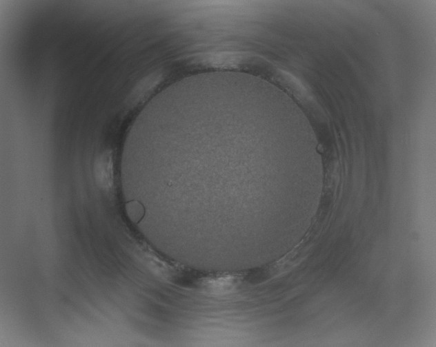 X0000074970120200609011226