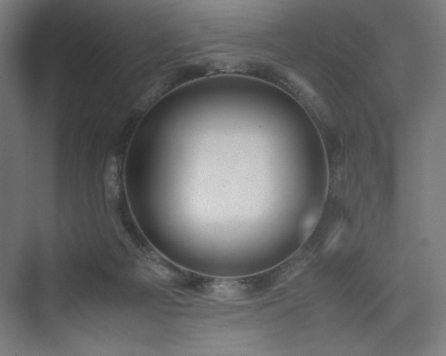 X0000074970121200609011226