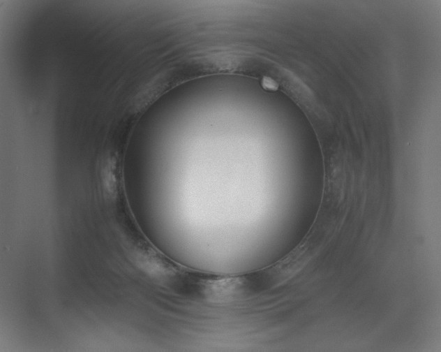 X0000074970122200609011226