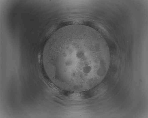 X0000074970123200609011226