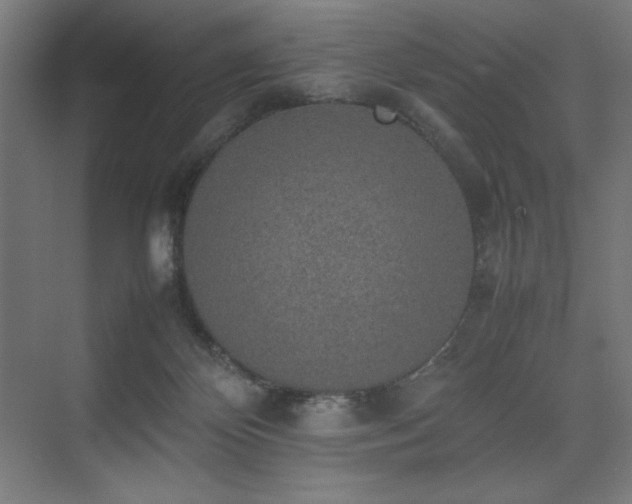 X0000074970124200609011226