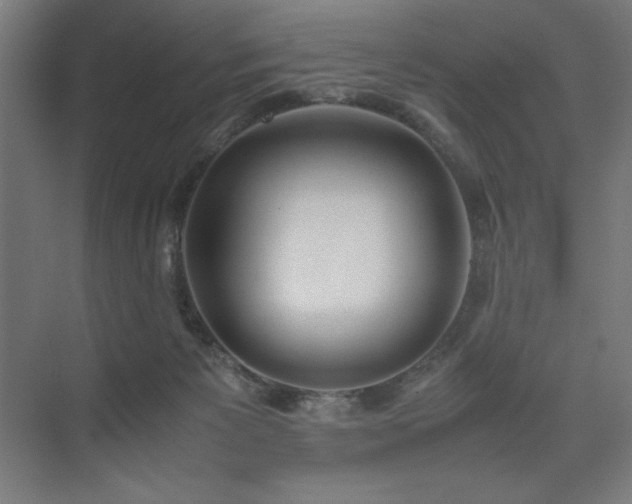 X0000074970125200609011226