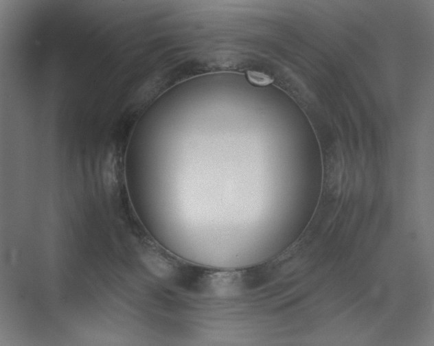 X0000074970126200609011226