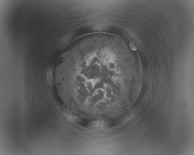 X0000074970127200609011226