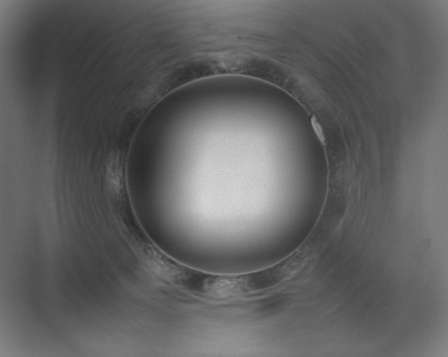 X0000074970129200609011226