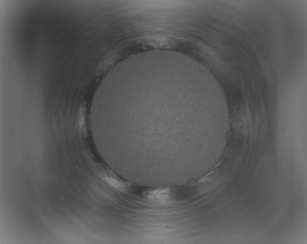 X0000074970132200609011226