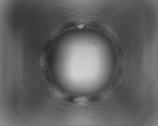 X0000074970133200609011226