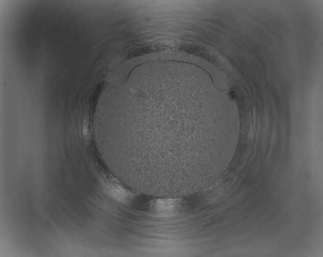 X0000074970134200609011226