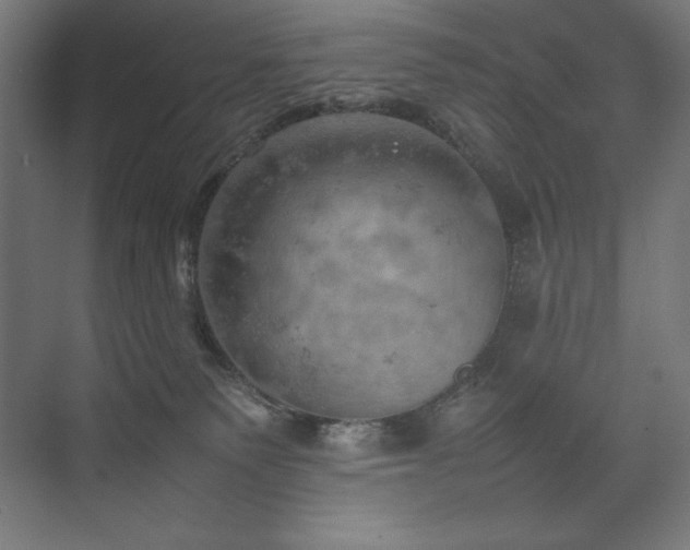 X0000074970135200609011226