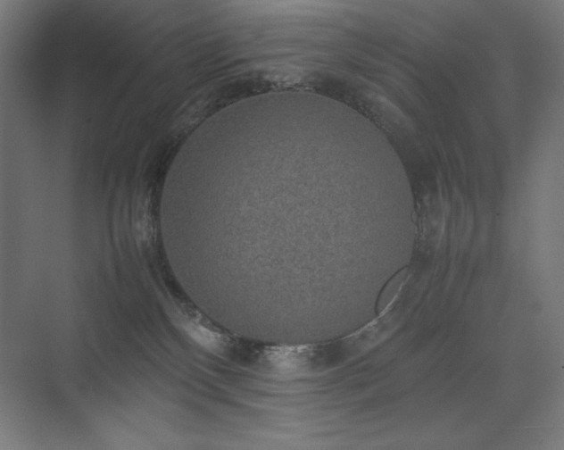 X0000074970136200609011225