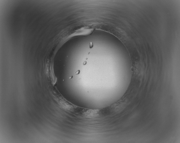 X0000074970138200609011225