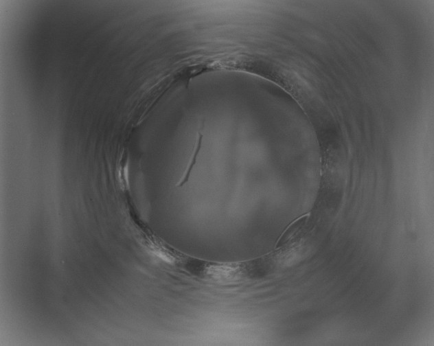 X0000074970139200609011225