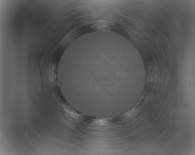 X0000074970140200609011225