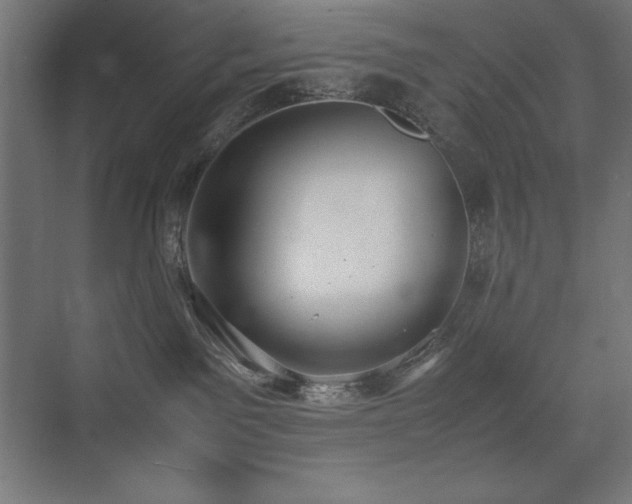 X0000074970141200609011225