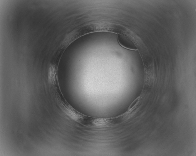 X0000074970142200609011225