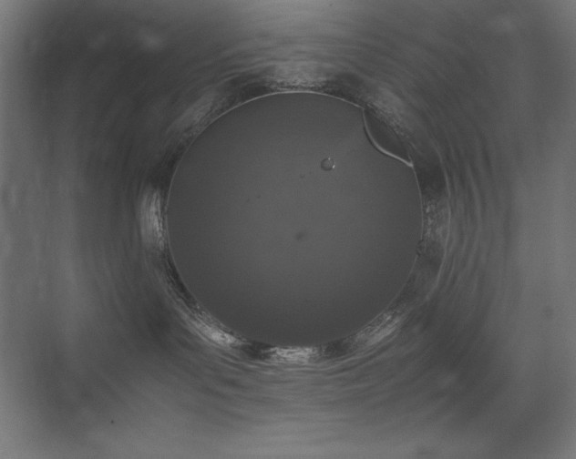 X0000074970143200609011225