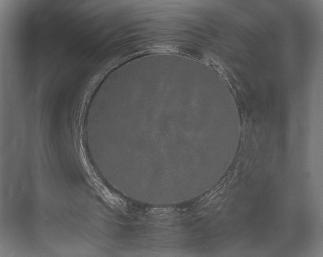 X0000074970145200609011225