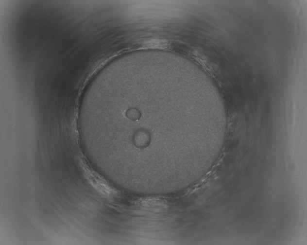 X0000074970146200609011225