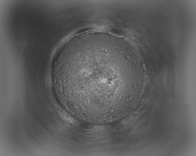 X0000074970149200609011225