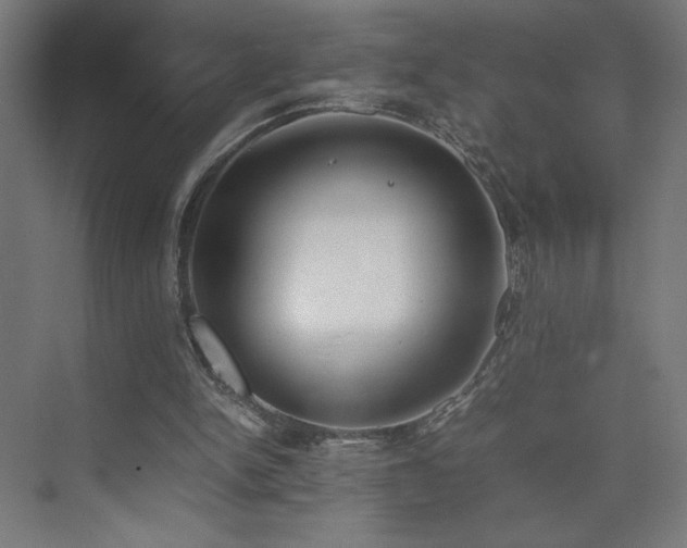 X0000074970150200609011225