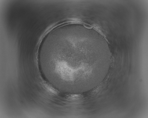 X0000074970151200609011225