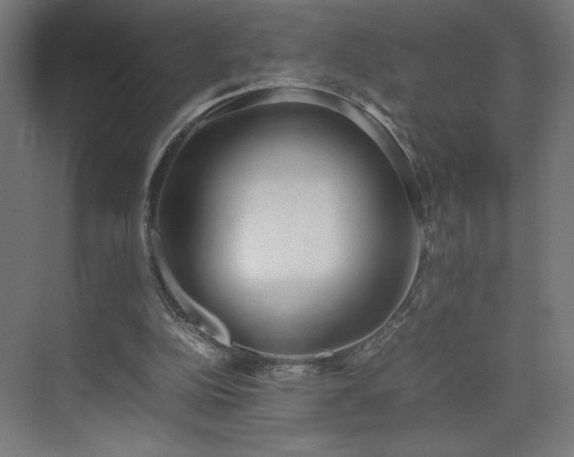 X0000074970152200609011225