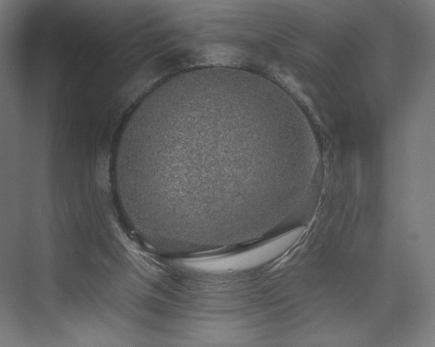 X0000074970154200609011225