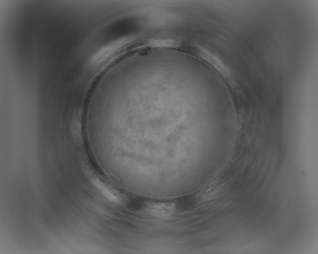 X0000074970155200609011225