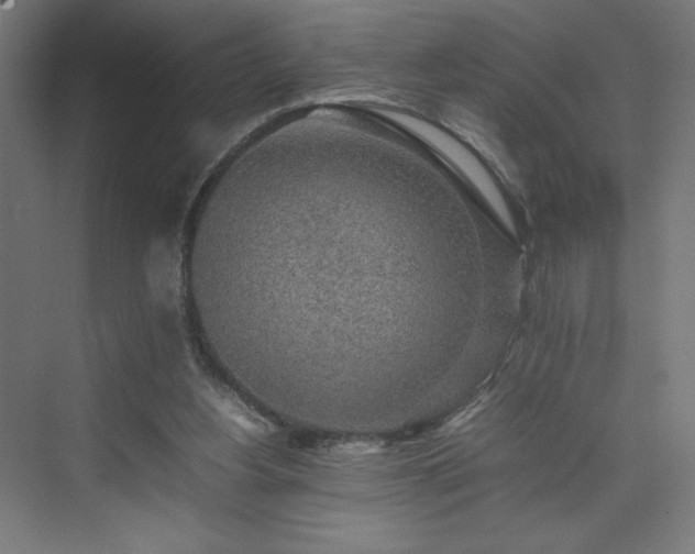 X0000074970156200609011225