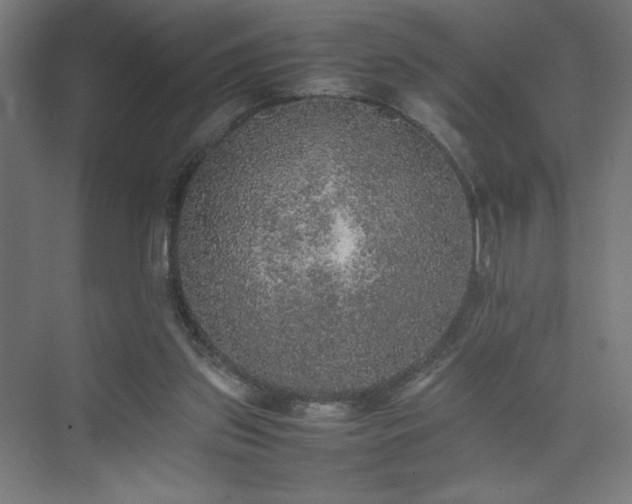 X0000074970157200609011225