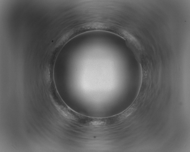 X0000074970158200609011225