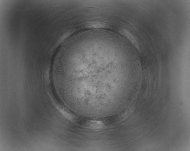 X0000074970159200609011225