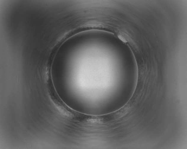 X0000074970160200609011225