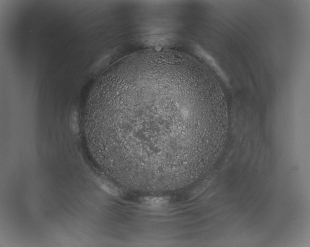 X0000074970161200609011225