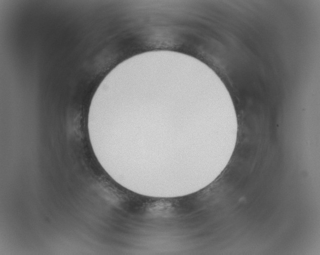 X0000074970162200609011225