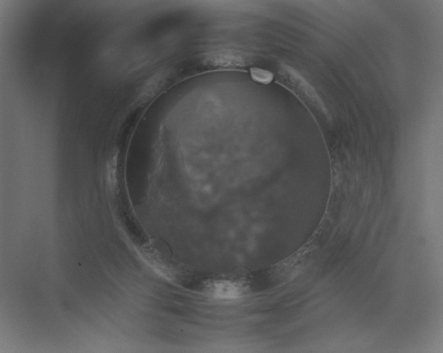 X0000074970163200609011225