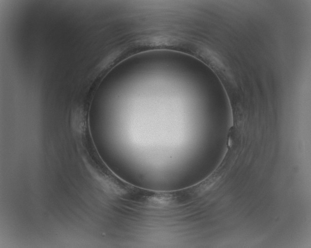 X0000074970164200609011225