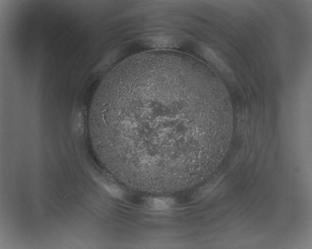 X0000074970165200609011225