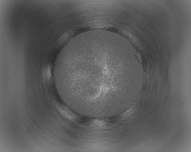 X0000074970166200609011225